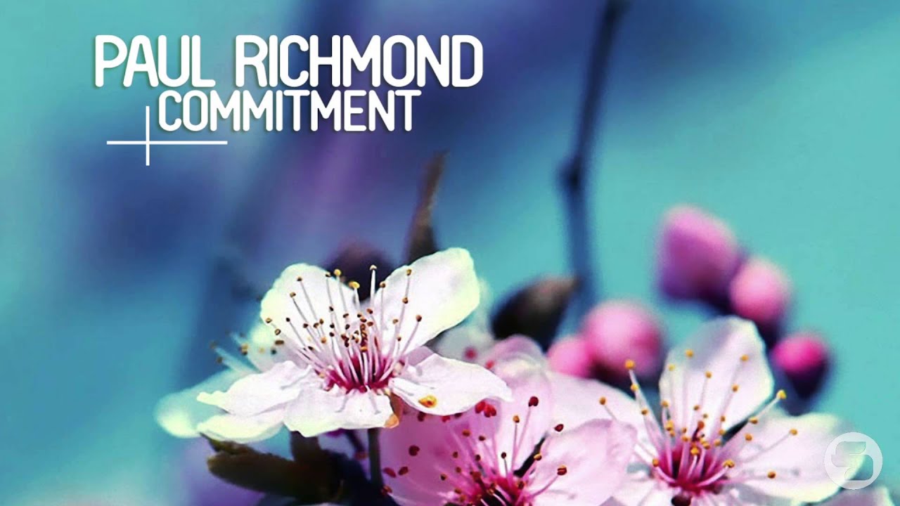 Paul Richmond - Commitment (Calippo Radio Edit) bekijken op YouTube Paul Richmond - Commitment (Calippo Radio Edit) bekijken op YouTube