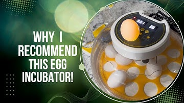 Review of this 18 Egg Incubator with Automatic Egg Turning