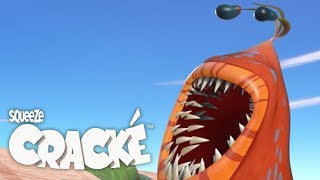 CRACKE - Plant Monster | Best Compilations | Videos For Kids | by Squeeze