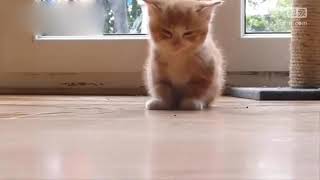 2018091205