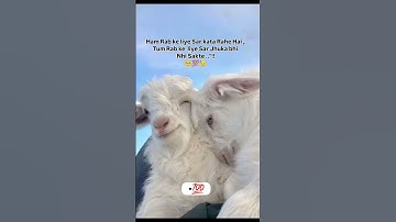 #OpenAI#ChatGPT#AI#DALL·E#AIArt#ArtificialIntelligence#DigitalArt#MidJourney#GPT #youtubeshorts