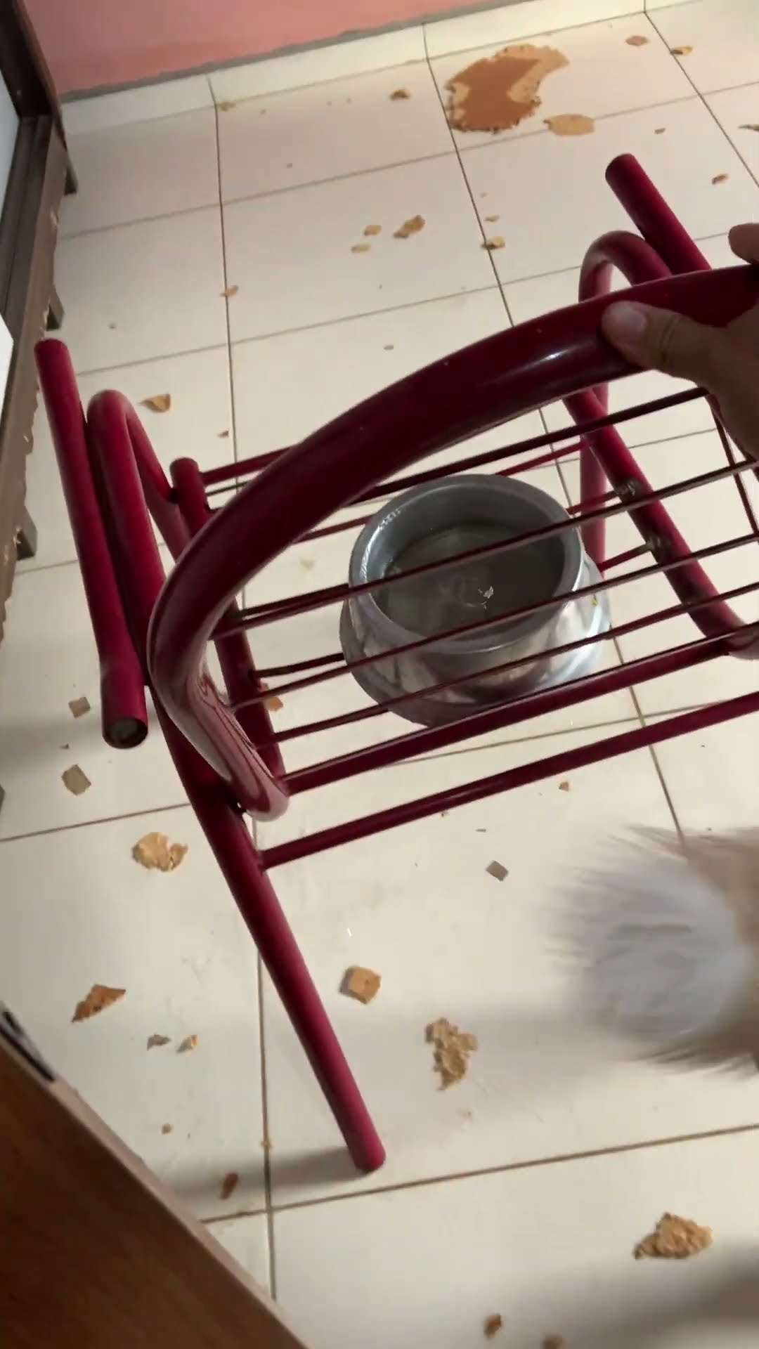 Owner Discovers Puppy Has Destroyed Door || ViralHog