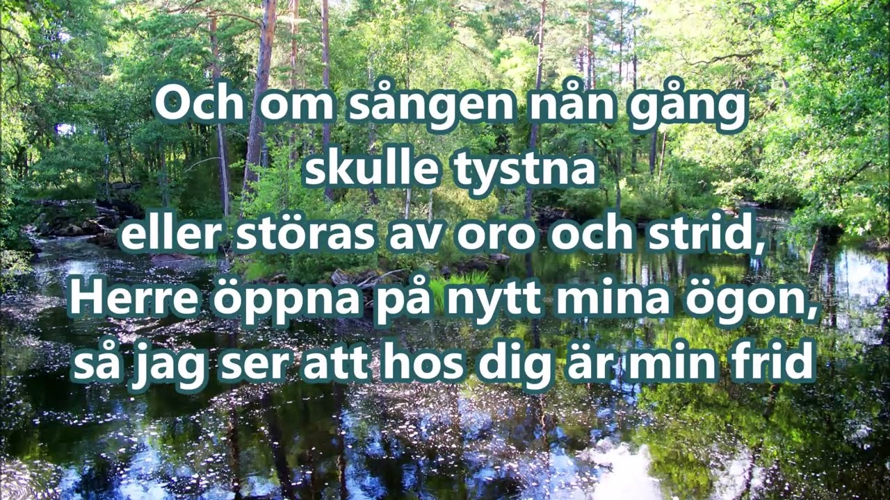 Psalm 702   Jag vill ge dig o Herre min lovsng Sjung med