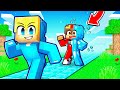 Minecraft, Aber ALLES wird DIAMANTEN