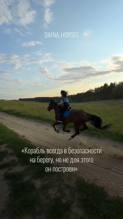 Конные прогулки СПб💛 - YouTube