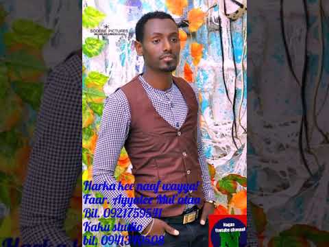 Faar Ayyalee Mul Ataa Mana Kee Naaf Wayya