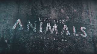 LIVE LIKE ANIMALS - Colourblind (Official Audio)