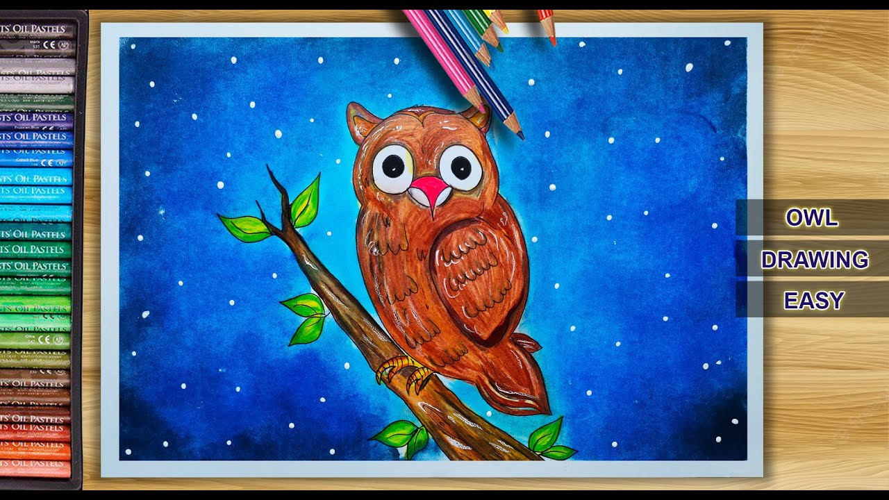 Owl Drawing Easy How To Draw Owl Drawing Step By Step YouTube