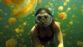 GMA 40: Around The World in 40 Years