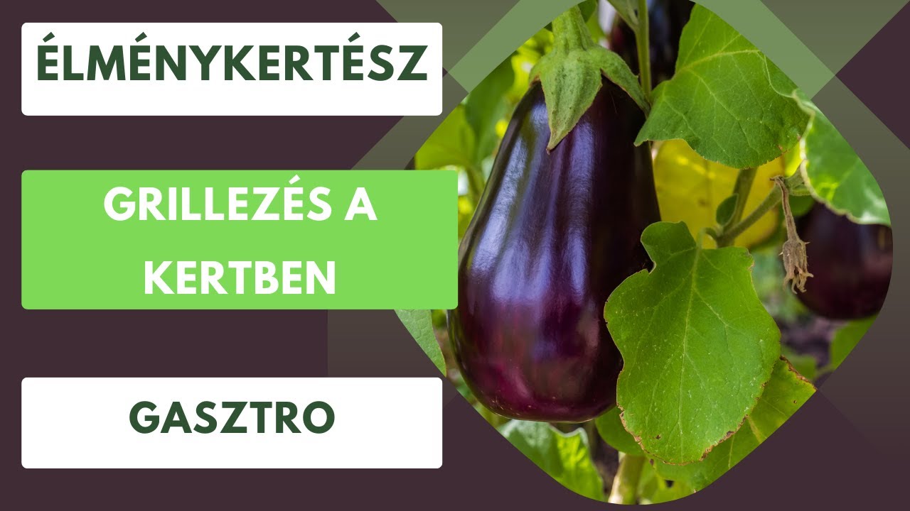 Gyertek grillezzünk egyet!🔥