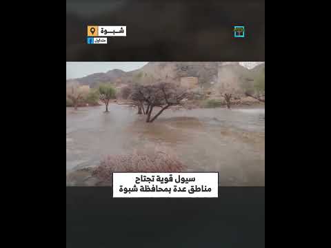 سيول بشبوة تجتاح مناطق متفرقة