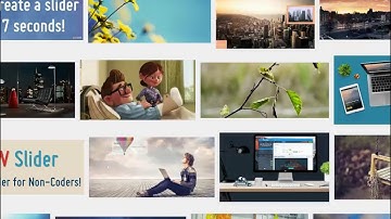 SEIP WEB DESIGN BATCH 24 day 19