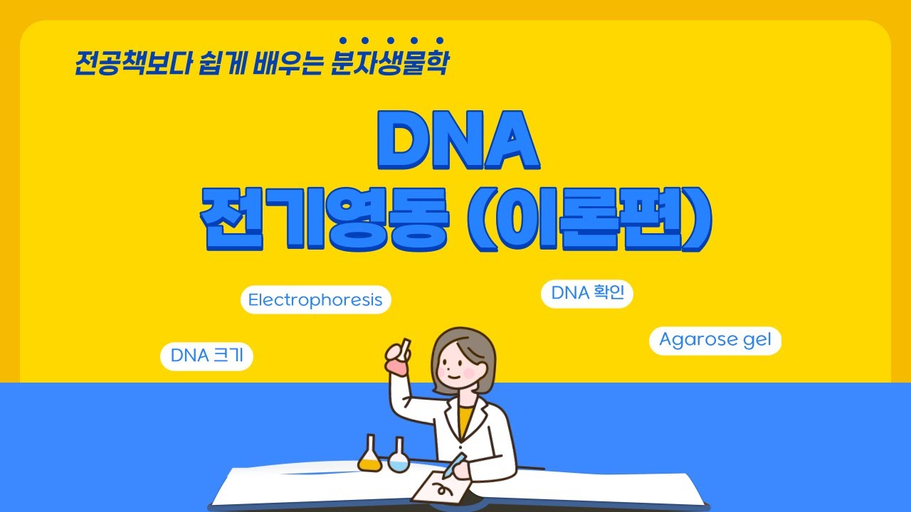 [A03] DNA 전기영동(Electrophoresis) 관련 이론 총집합