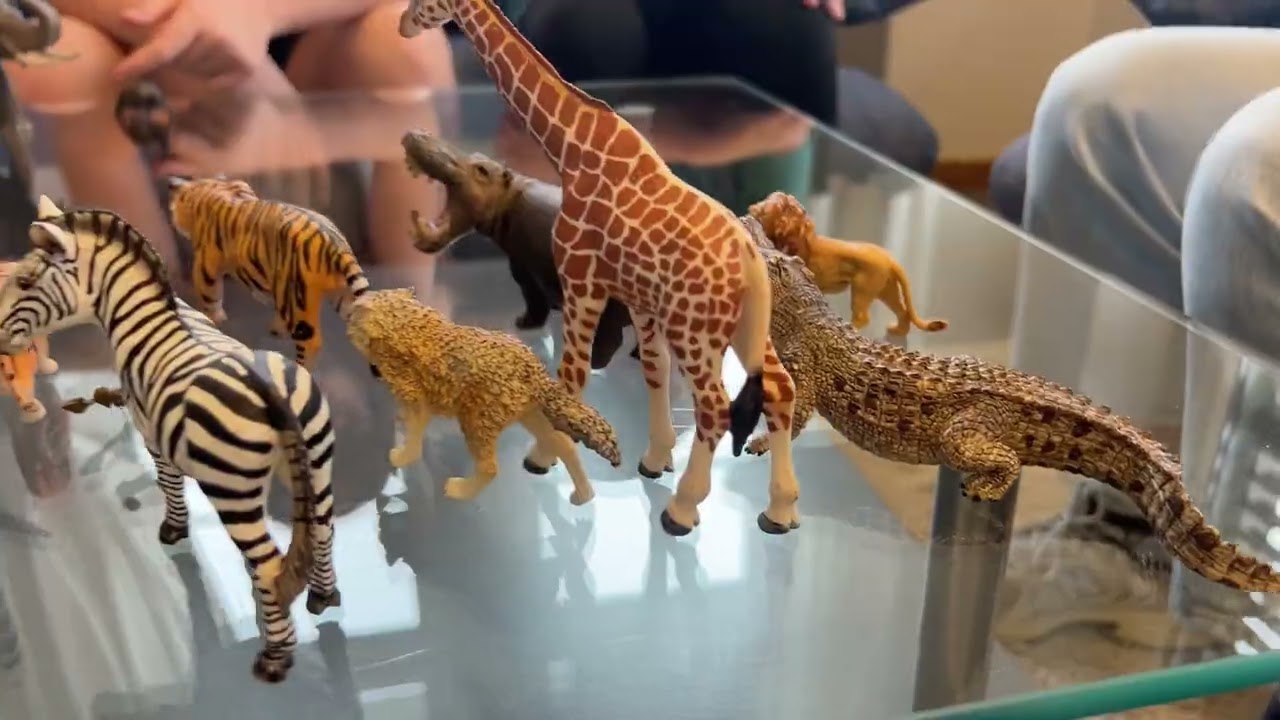 Promo Video SAWA 2 1