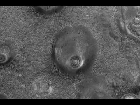Surface of Mars