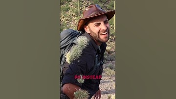 How To Remove Cactus Spines! 😱 #shorts #cactus #facts #tricks