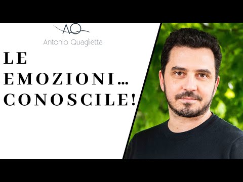 Video: L'intelligenza Artificiale Ha Imparato A Riconoscere Le Emozioni. A Cosa Può Portare Questo? - Visualizzazione Alternativa