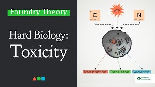 FT027  Hard Biology: Toxicity