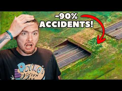 American Reacts to Largest wildlife overpass in North America