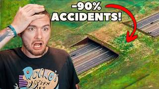 American Reacts to Largest wildlife overpass in North America