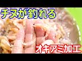 チヌが釣れる自作のオキアミ加工します