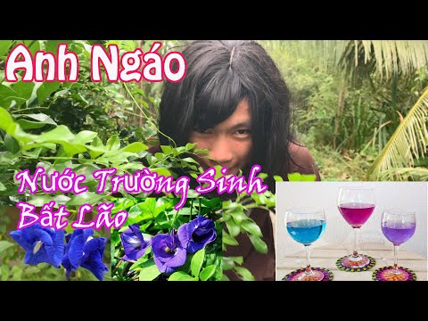 Video Anh Ngáo Bị Troll Uống Thuốc Trường Sinh Bất Lão ||... - youtube