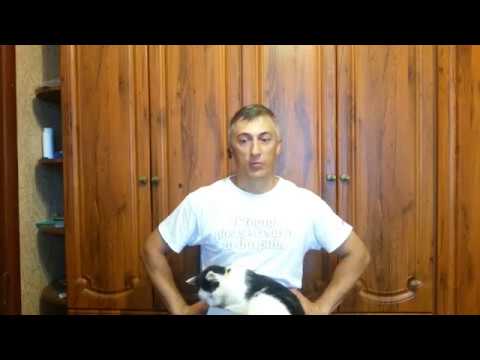 Почему вегетарианство бессмысленно? Польза и вред вегетарианства.