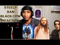 Steely Dan - Black Cow (FIRST TIME REACTION!)