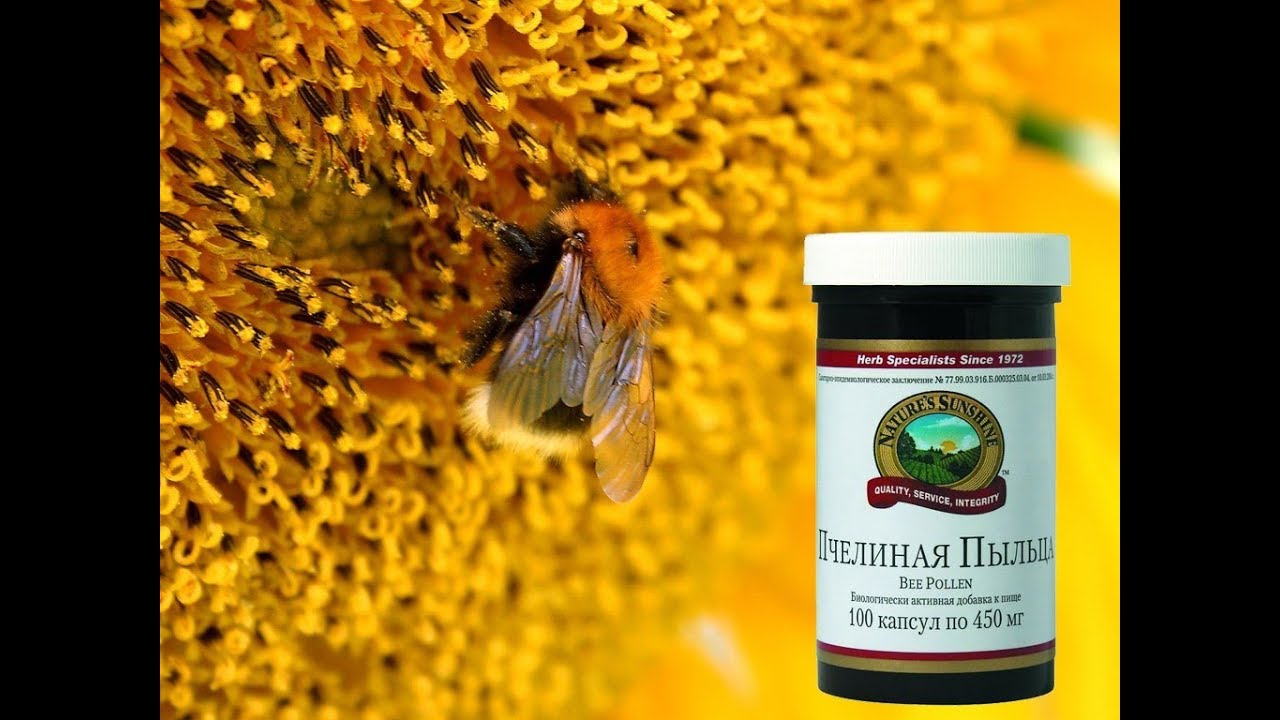 Пыльца витамины. Пчелиная пыльца (Bee pollen). Би Поллен НСП. Цветочная пыльца НСП. Пчелиная пыльца НСП.