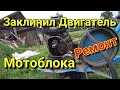 Заклинил ДВИГАТЕЛЬ мотоблока НЕВА