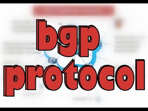 bgp protocol