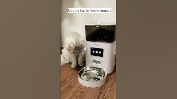 Petchain Automatic Cat Feeder, 4L WiFi Pet Food Dispenser for Cats and Dogs APP Control