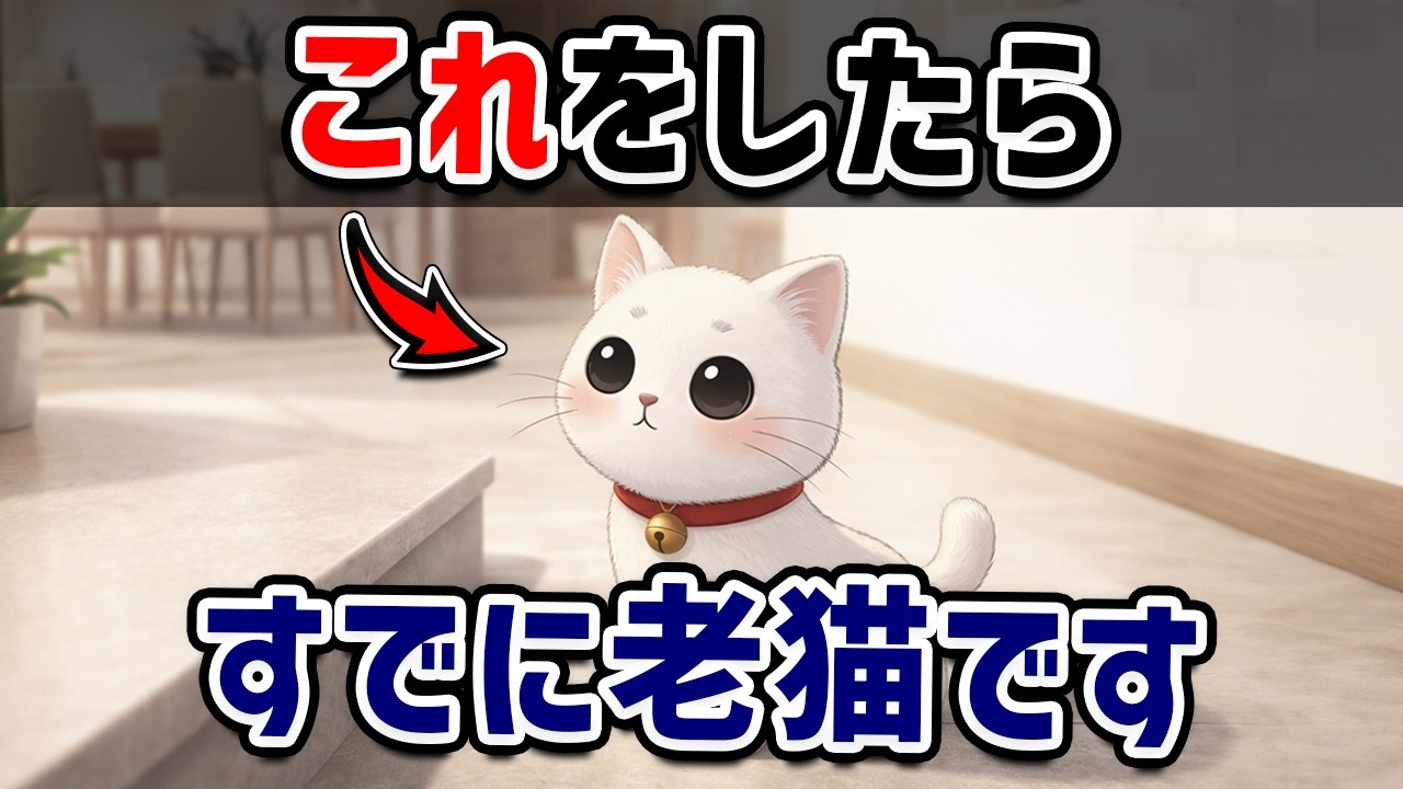 【老化のはじまり？】猫がシニア期に出やすい行動・変化7選【猫の雑学】