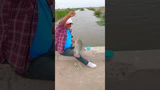 PESCA Y COCINA - fishing and cooking in the river