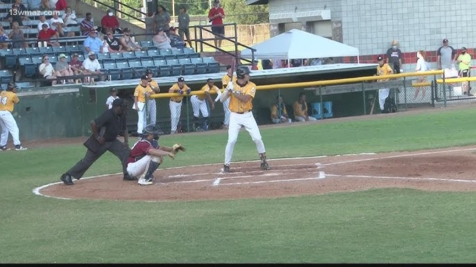 Luther Williams Field-Macon Bacon 