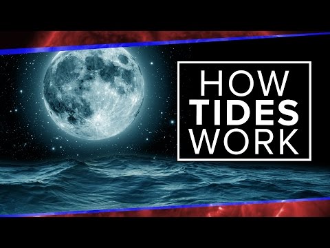 What Physics Teachers Get Wrong About Tides! | Space Time | PBS Digital Studios