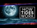 Understanding Tides and Gravitational Forces