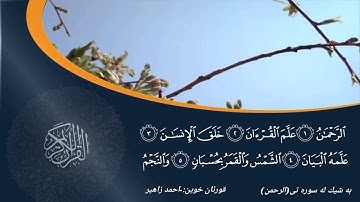 سورة الرحمن بصوت أحمد زاهر
