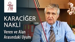 Karaciğer veren ve alan arasında nasıl bir uyum aranmaktadır?