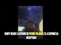 Capture de la vidéo Rohff Allume Pierre Palmade À Sa Manière T'es Pas Un Exemple De La Société !