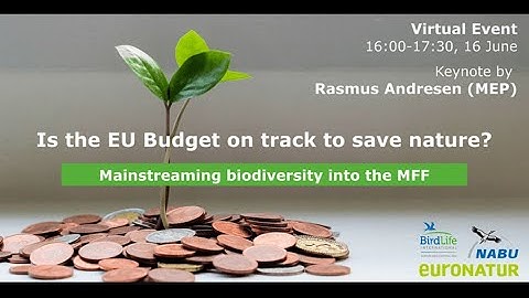 Is the EU Budget on track to save nature? Mainstreaming biodiversity into the MFF