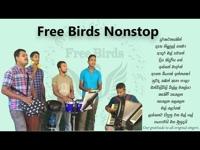 Free Birds Nonstop | Sinhala Song class=