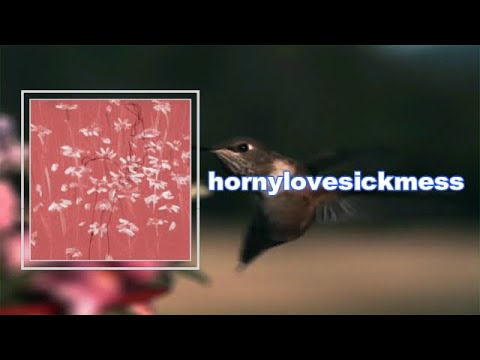 ​girl in red - hornylovesickmess (Lyrics)