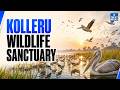 Kolleru Wildlife Sanctuary in News | Illegal Fish Ponds & Ramsar Site Explained | UPSC | NEXT IAS