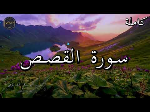 سورة القصص كاملة بصوت جميل جدا الشيخ أبو بكر الشاطري