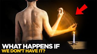 What Is The Withdrawal Reflex And Why Is It So Important? - Neuroscience Explained