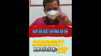 Chế Độ Biệt Dưỡng Cho Gà Đá | Sabong67 #sabong67kinhnghiemdaga #kinhnghiemdaga #sabong67 #cpc #thomo thumbnail
