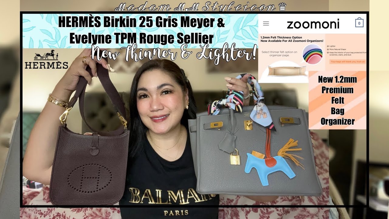 Bag Organizer for Hermes Birkin 25 Sellier (Zoomoni/Premium/20 Color  Options)