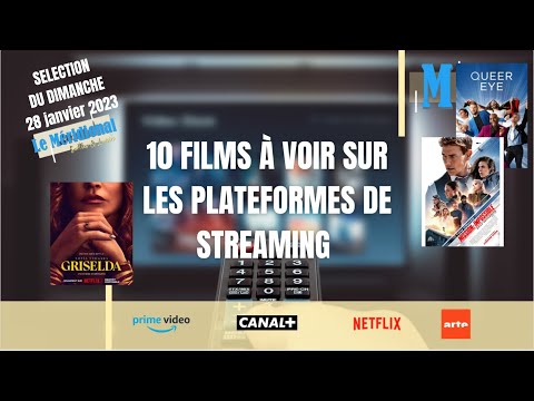 Sorties et loisirs - 10 films à voir sur les plateformes de streaming (28.01.24)