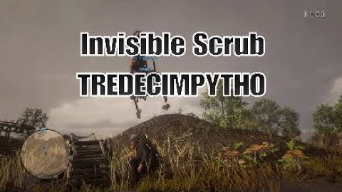 Invisible Scrub TREDECIMPYTHO. How to kill an invisible player